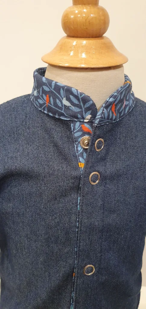 Oiseaux bleus chem (2).webp