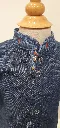 Oiseaux bleus chem (2).webp