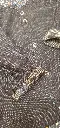 20250311_202035.webp