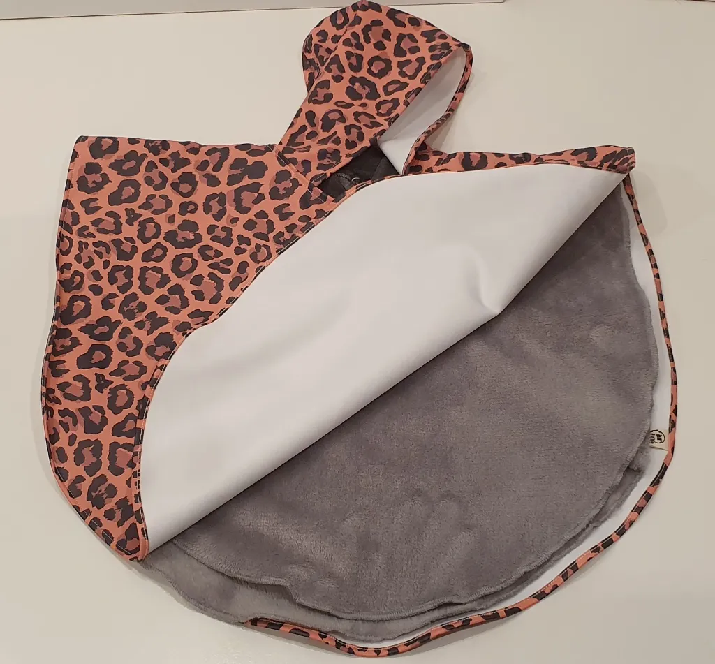 Léopard cape et sscape.webp