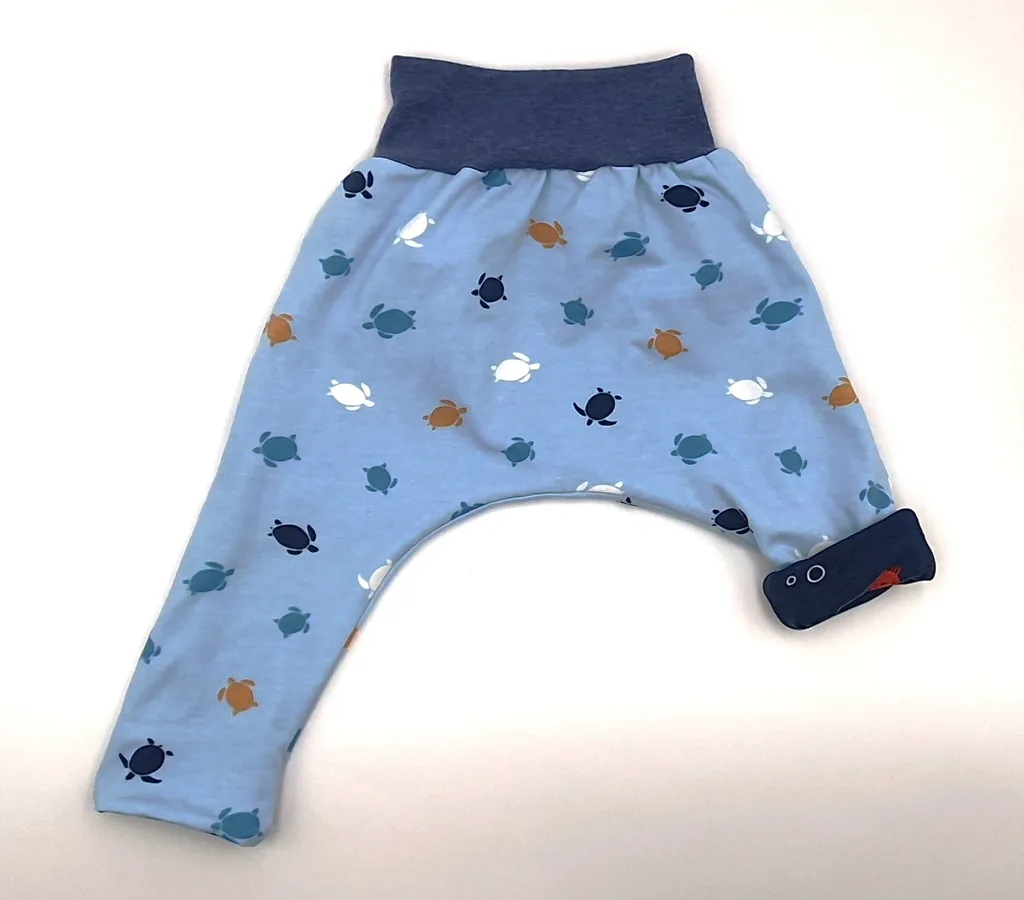 crabes tortues sar.webp