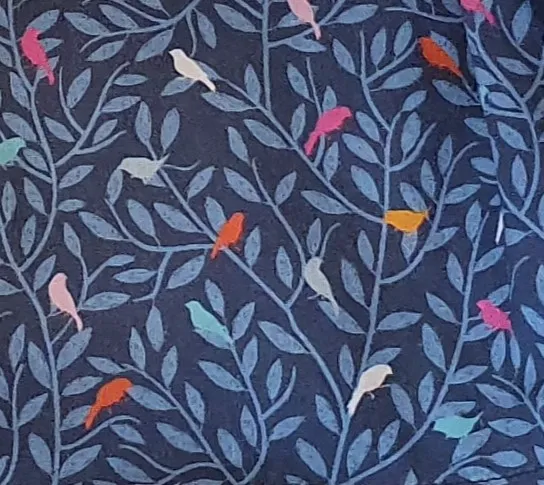 Bandeau léger OISEAUX BLEUS (T0 (0-6M))