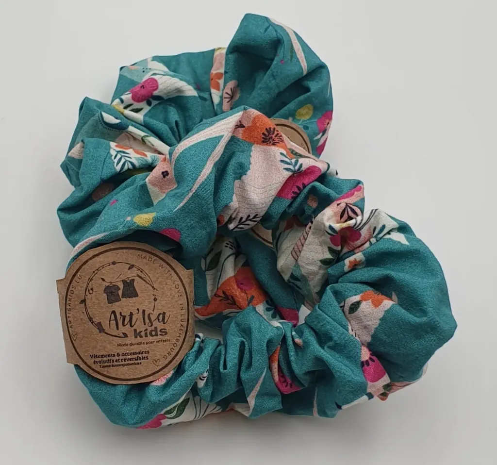 Chouchou HIRONDELLES