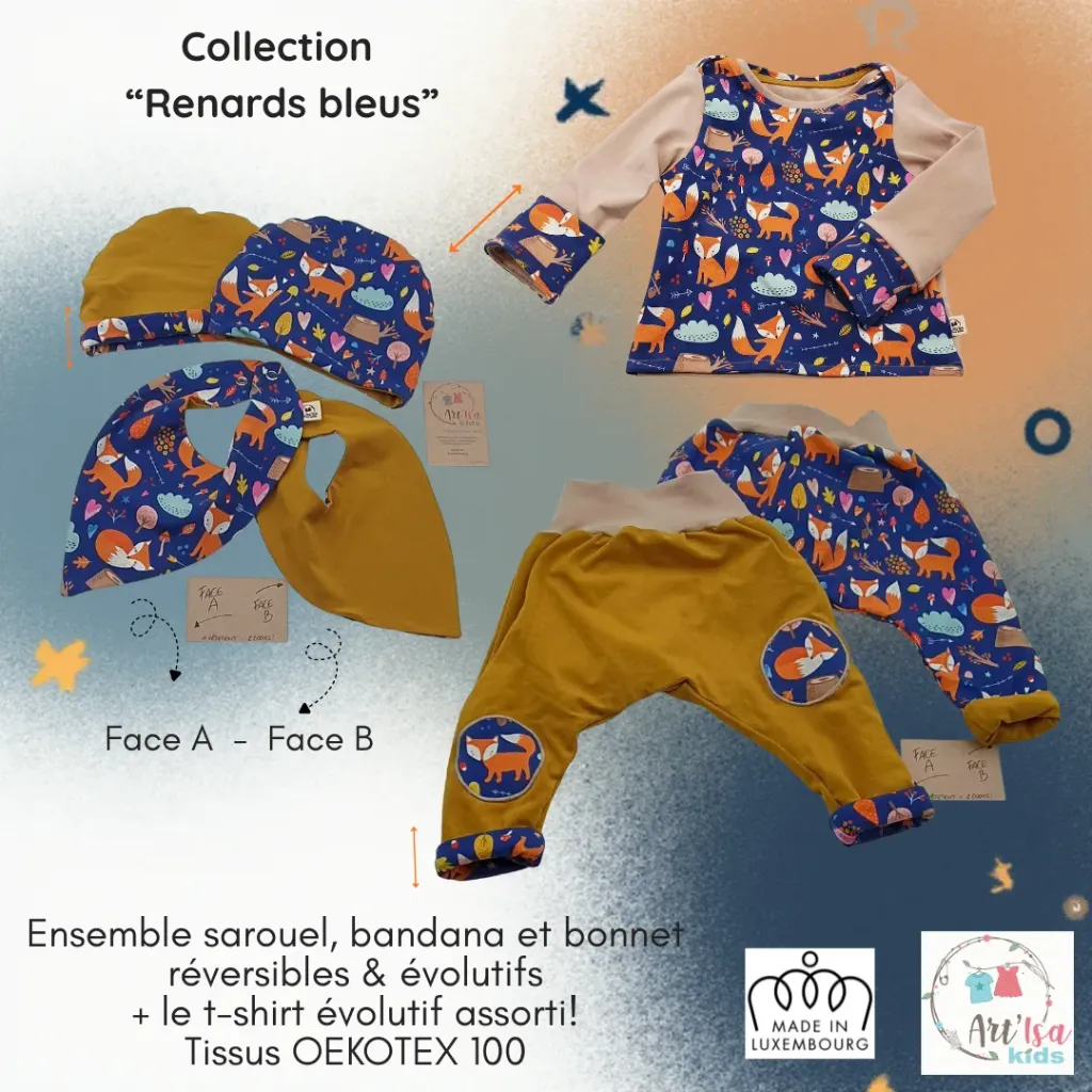 Ensemble RENARDS BLEUS (4 articles)