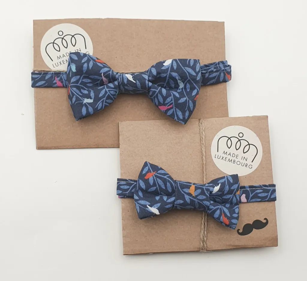 Noeud papillon OISEAUX BLEUS